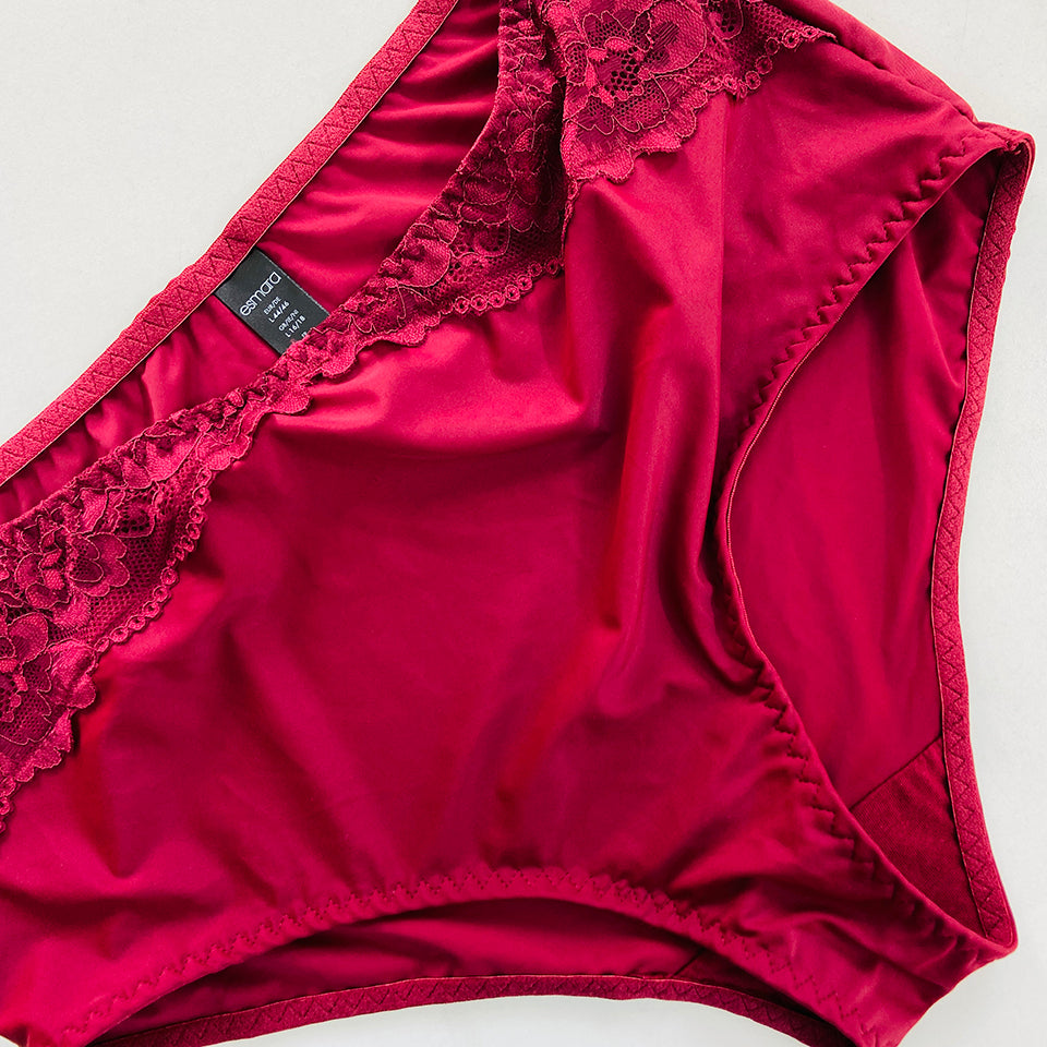 Womens Premium High Waisted Lace Full Back Cover Panty