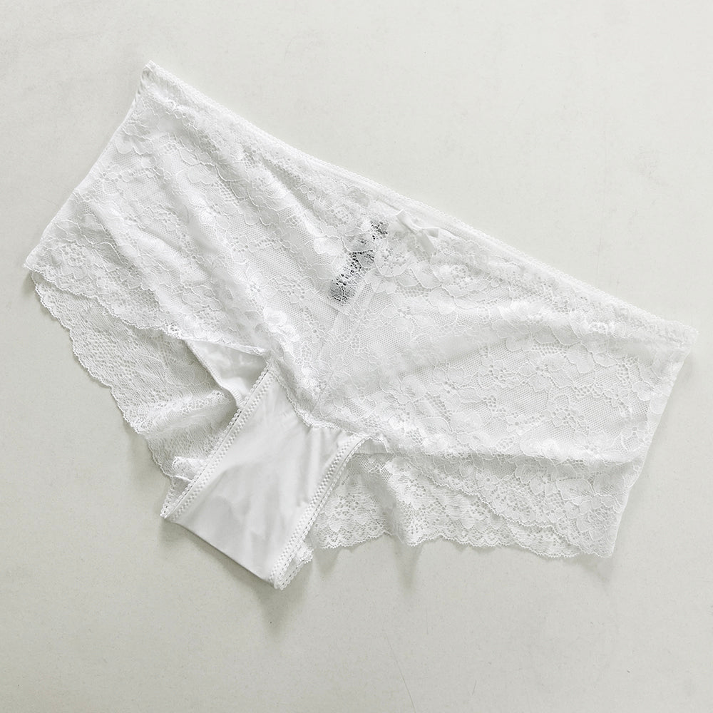 Womens Premium Lace Front Hipster Brief Panty