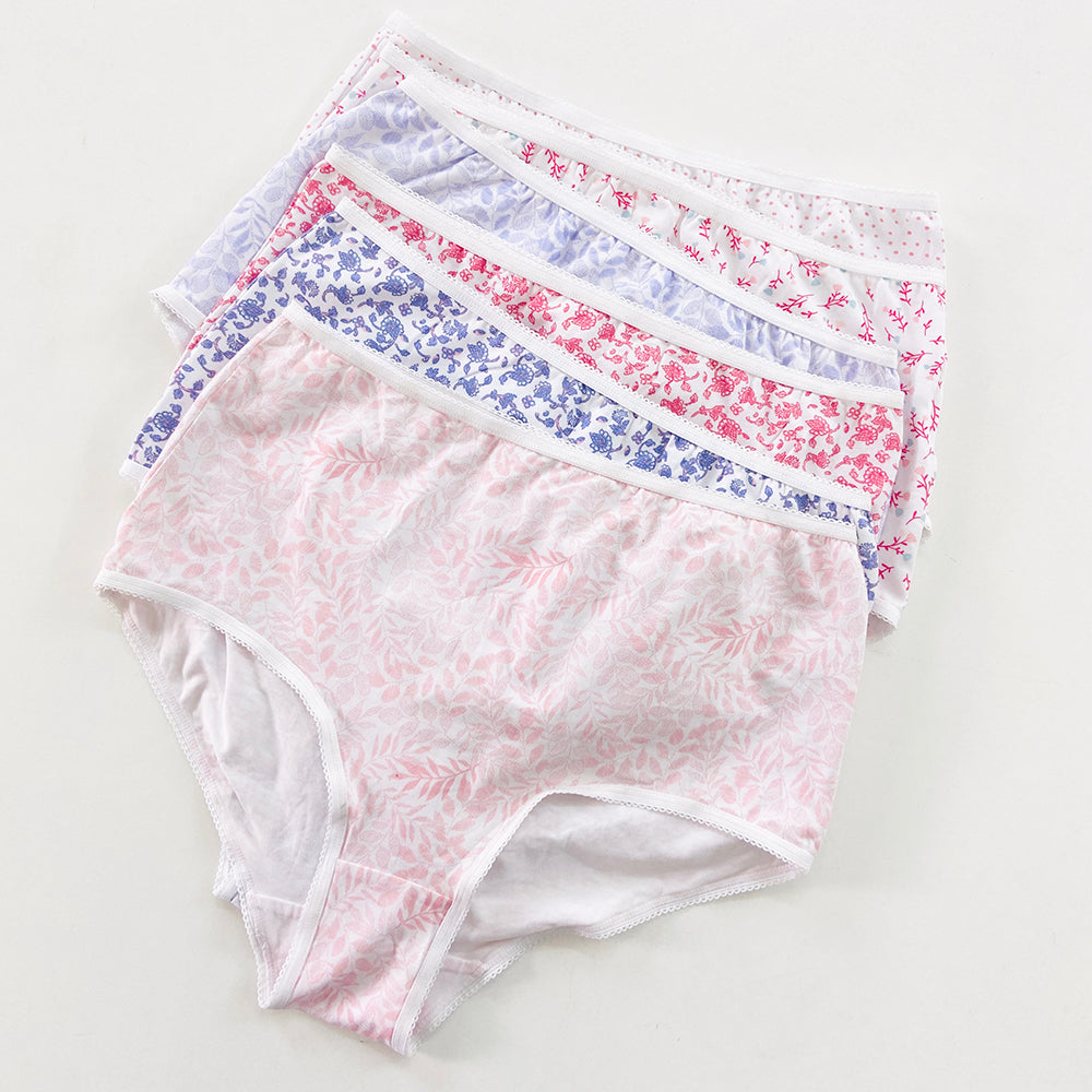 Pack of 4 Ladies High Waisted Full Back Coverage Printed Brief Panty