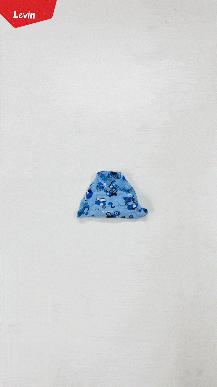 Pack of 5 Assorted Multicolor Cotton Boys Brief