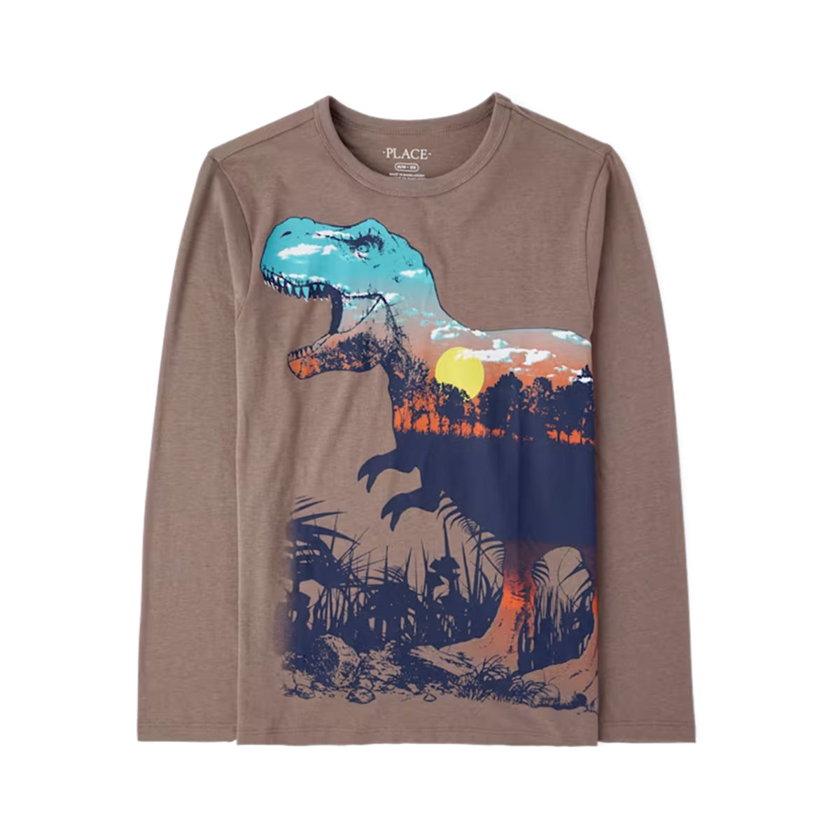 Boys Crew Neck Long-Sleeve Printed T-Shirt | 4–16 Years