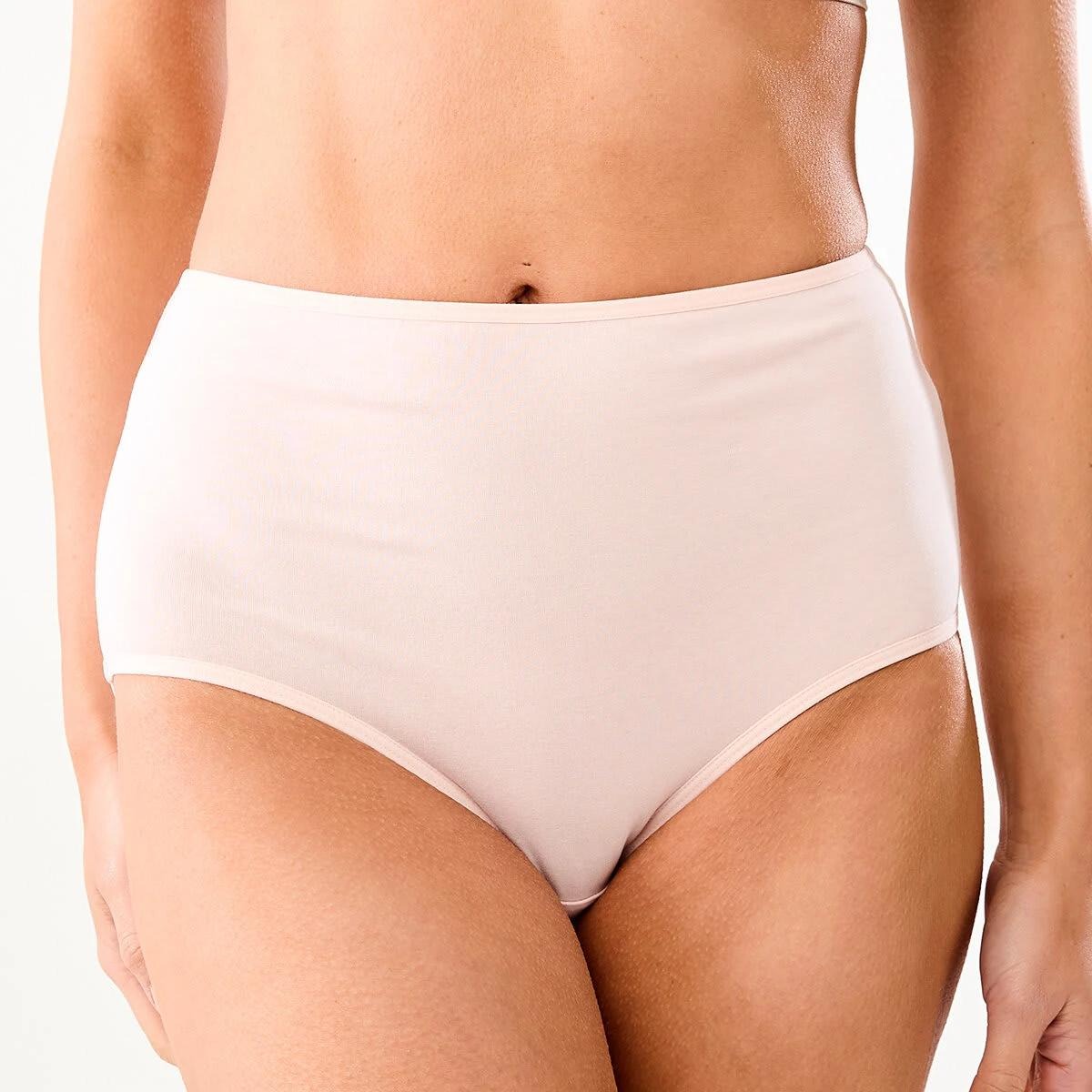 Pack of 5 Womens Full Back Cover Basic Cotton Brief Panties