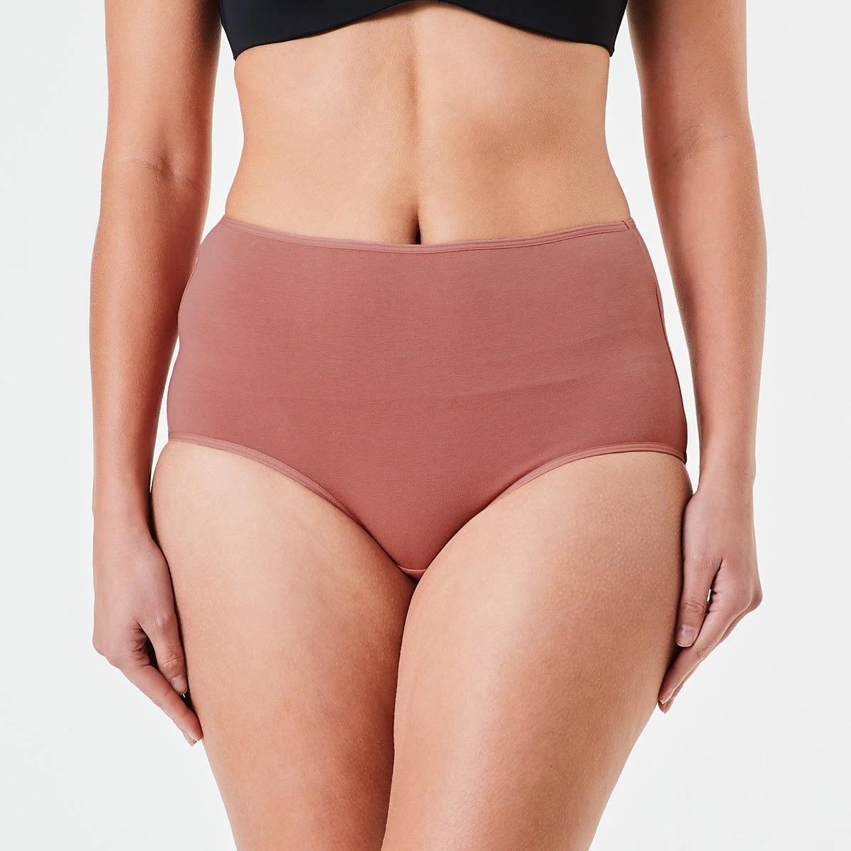 Pack of 5 Womens Full Back Cover Basic Cotton Brief Panties