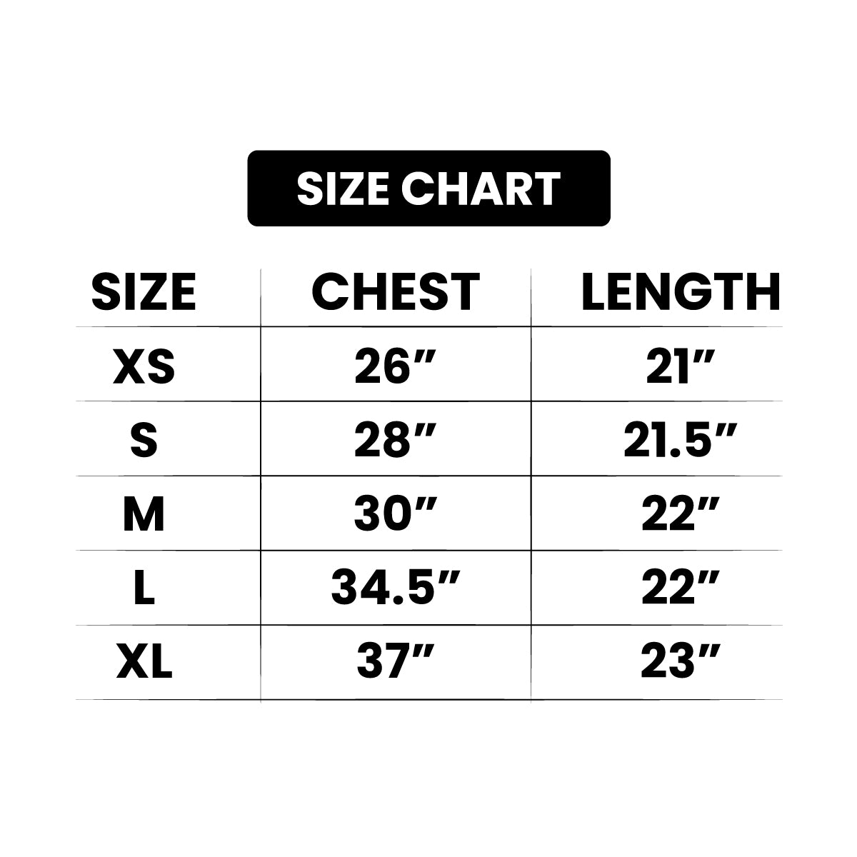 Womens Soft Knit Short Sleeve Minimalist Sweater