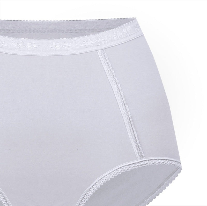 Ladies Basic High Waist Full Back Cover Panty