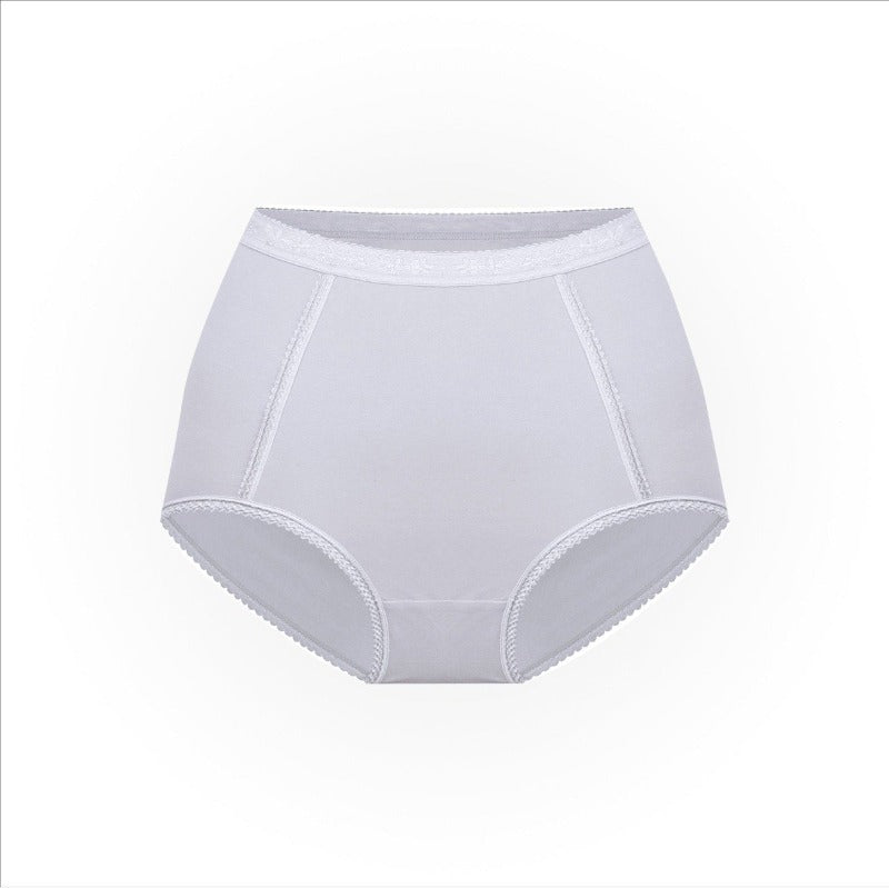 Ladies Basic High Waist Full Back Cover Panty