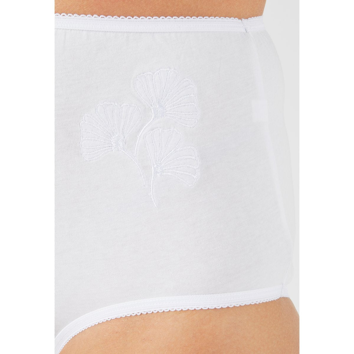 Pack of 4 Ladies Mid Rise Embroidered Cotton Brief Panty