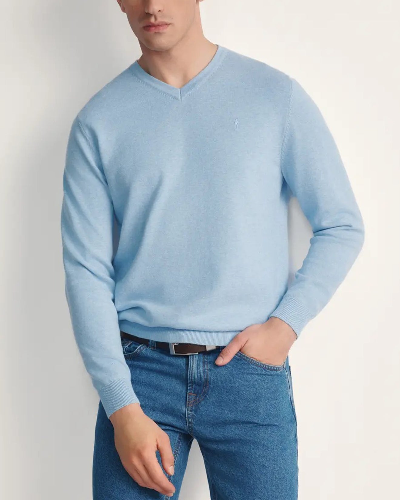 Mens Premium Cotton V-Neck Long Sleeve Knit Sweater