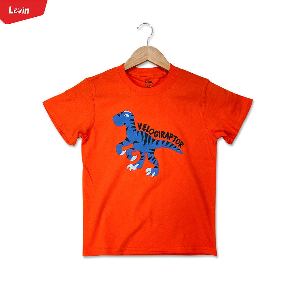 Boys Printed Short Sleeve Cotton T-shirt