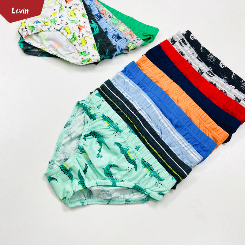 Pack of 5 Assorted Multicolor Cotton Boys Brief