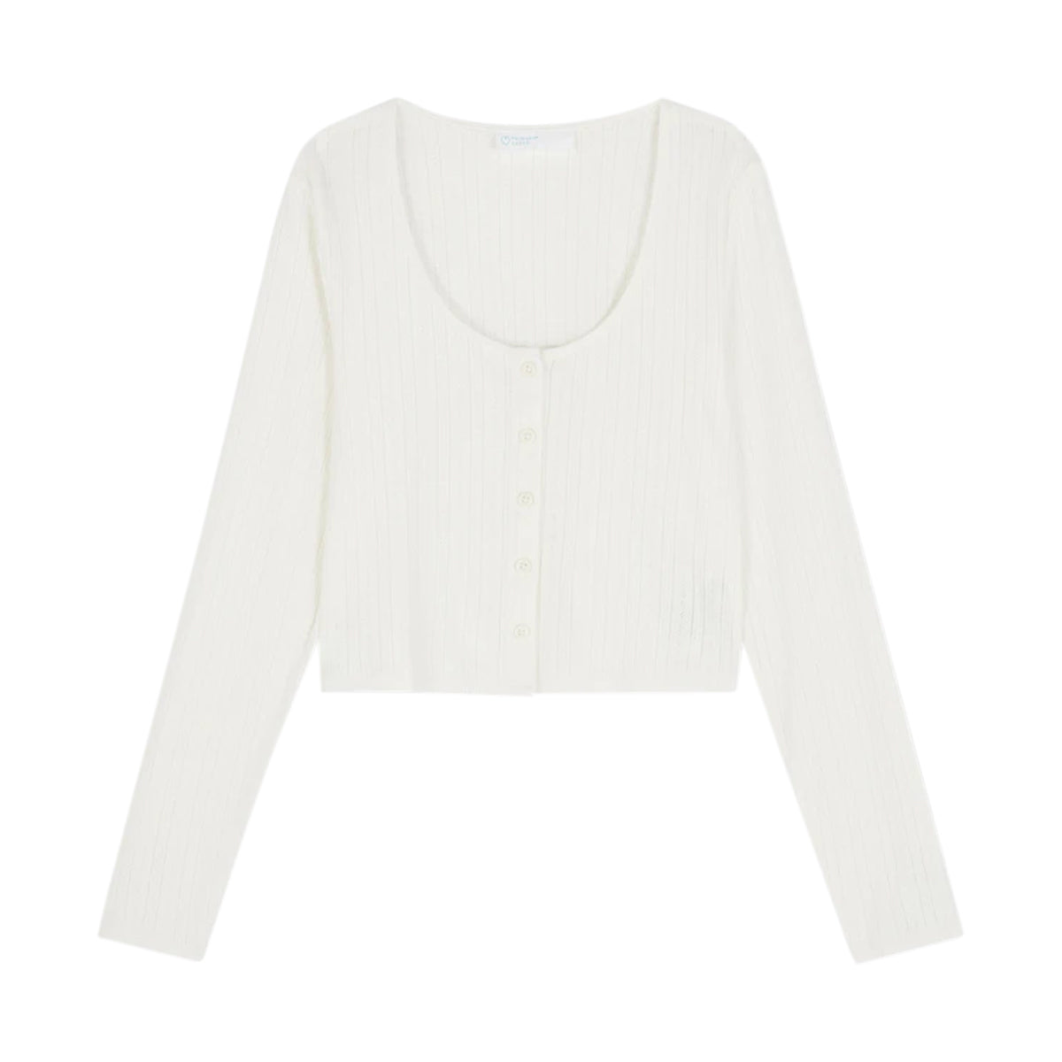 Ladies Full Sleeve Pointelle Cropped Cardigan Top