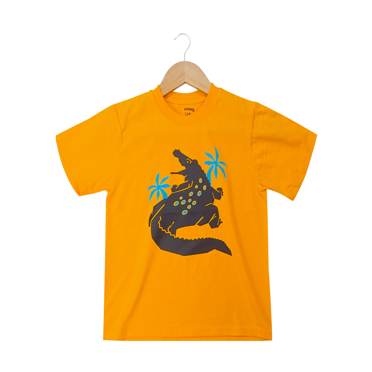 Boys Printed Short Sleeve Cotton T-shirt