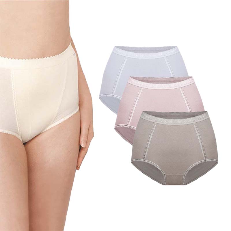 Ladies Basic High Waist Full Back Cover Panty